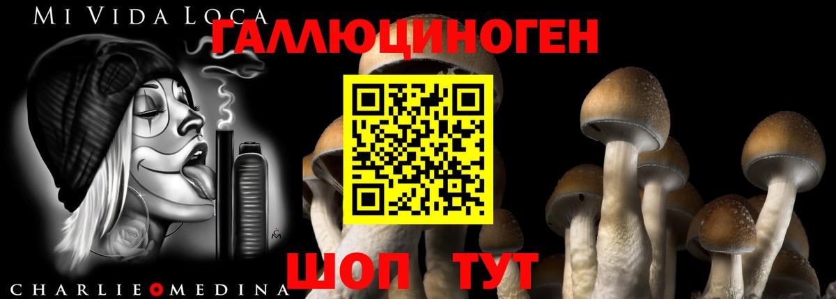Галлюциногенные грибы ЛСД Лесосибирск